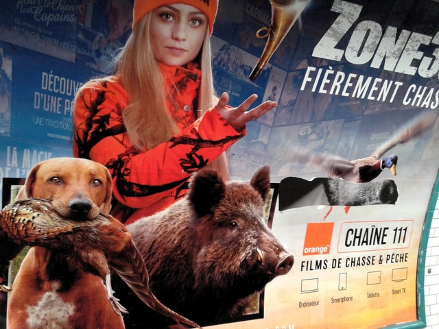 ChasseTV