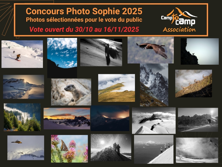 CPS 2025-Vote public