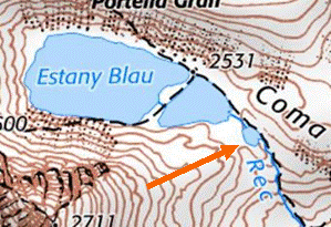 Image1