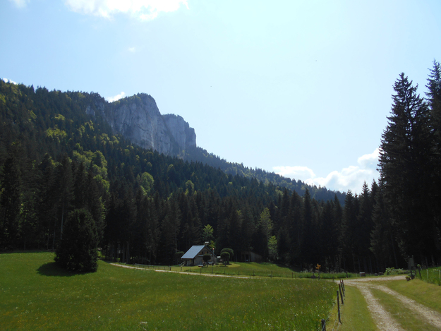 DSCN0962