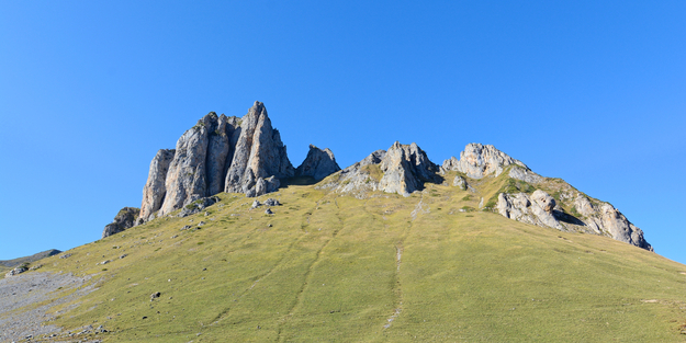 DSC_0452_DxO_250_2500