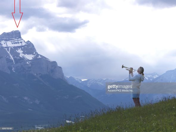 gettyimages2-82879246-2048x2048