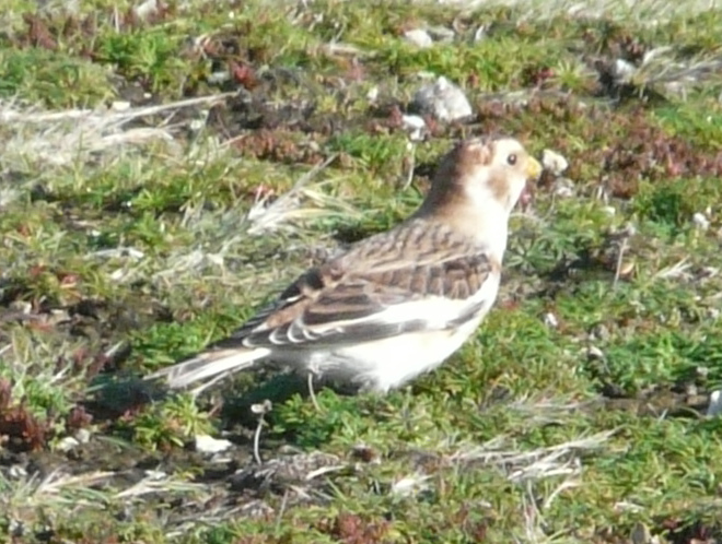 P1090037