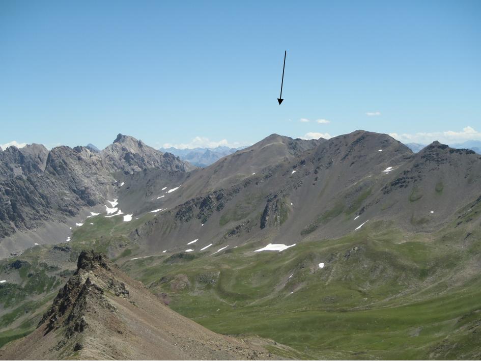 Image1