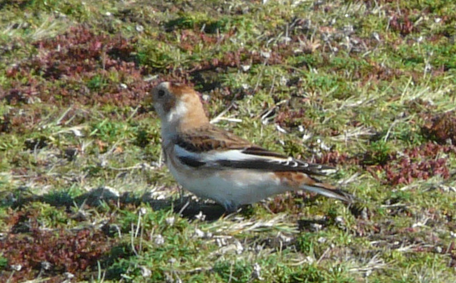 P1090036