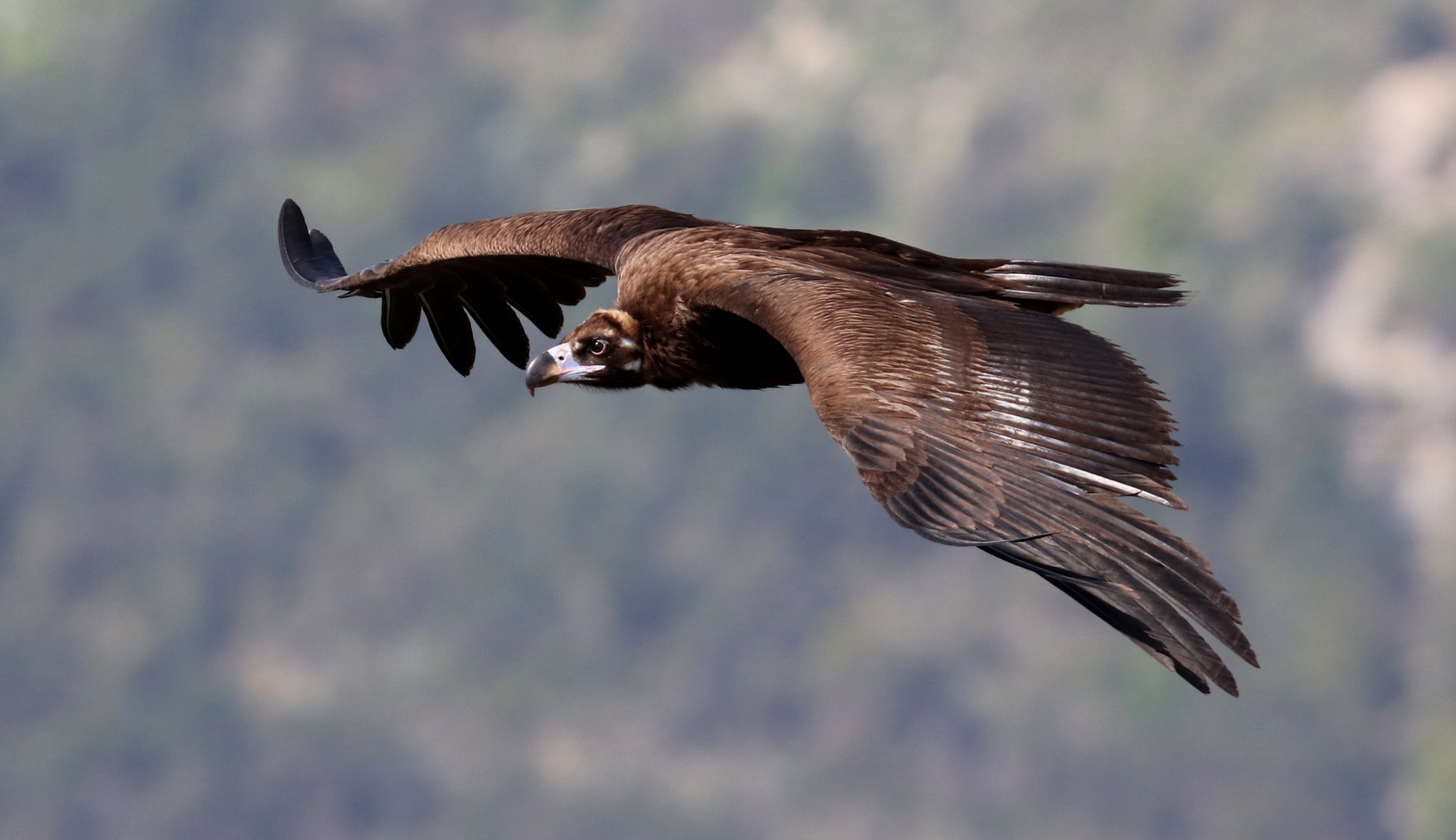 1758980012_1129011483